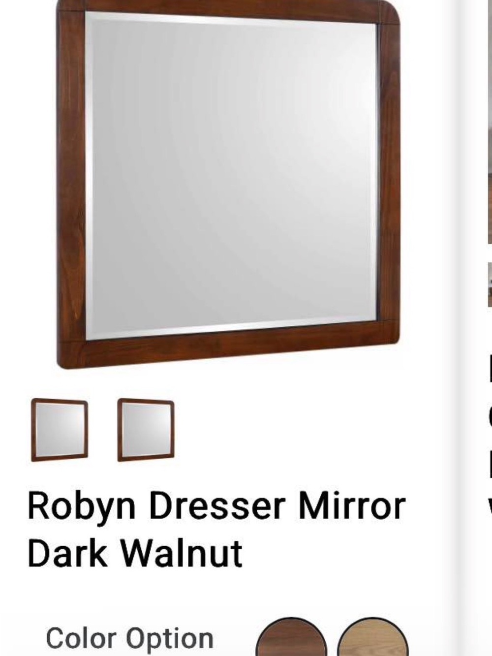 Robyn Dresser Mirror in Dark Walnut